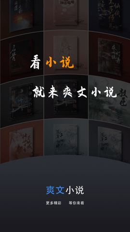 爽文小说文趣阁阅读器