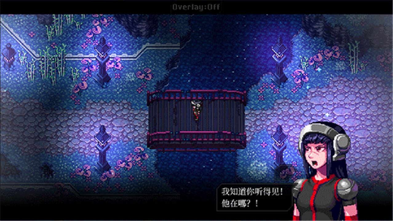 远星集结
