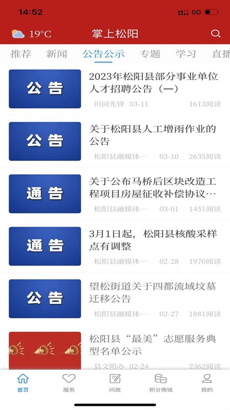 掌上松阳
