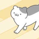 猫宅日记