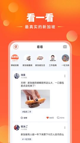 去狮城