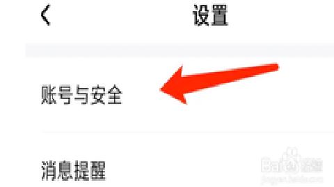 去狮城