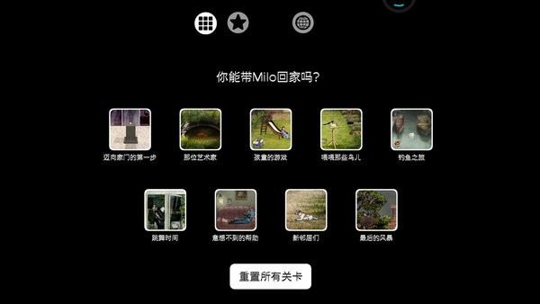 米洛和喜鹊