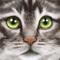 终极猫模拟器