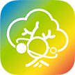 树梦AI