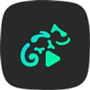 蜥蜴音乐播放器