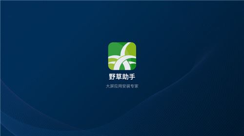 野草助手