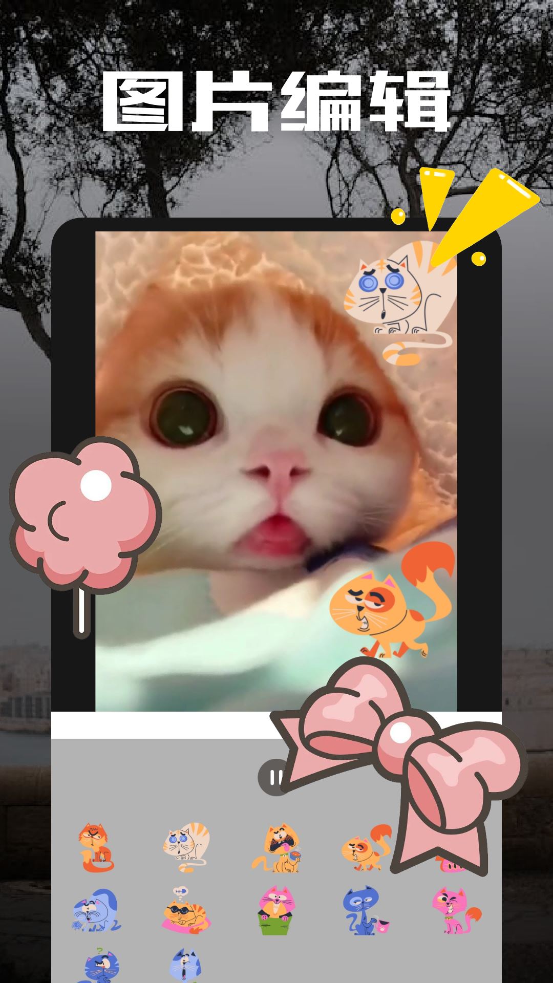 am视频剪辑器