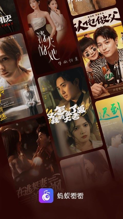 蚂蚁看看