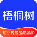 梧桐树