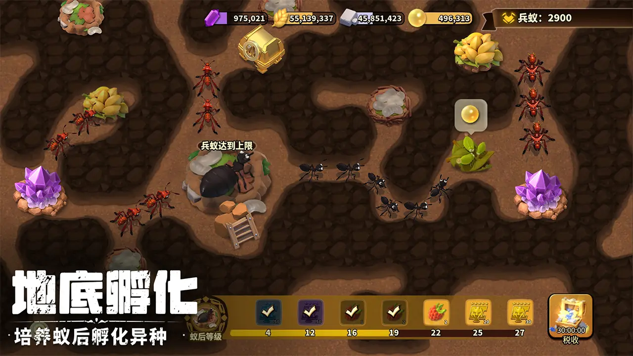 蚁族崛起