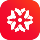 大于众学app官方免费版