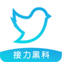 飞鸟下载器app安卓版