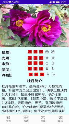 灵尚绿植宝app安卓版
