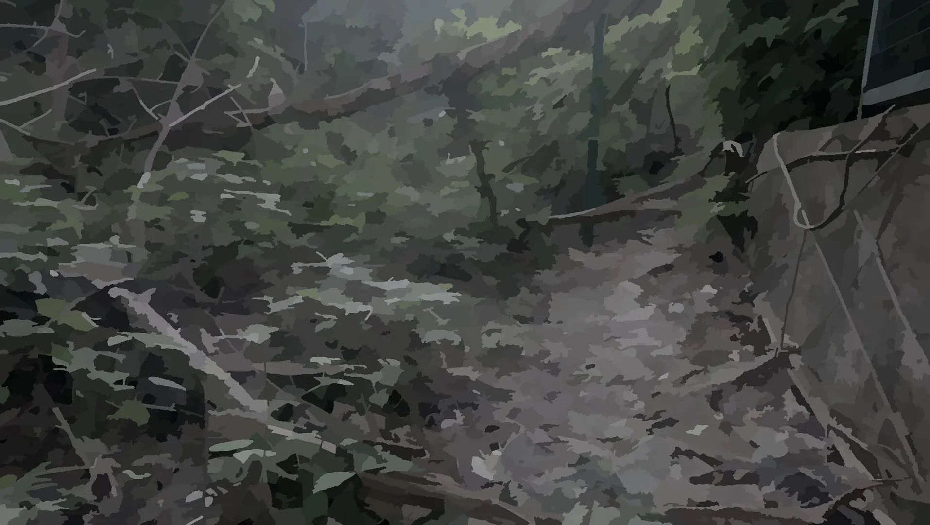 戏假成真
