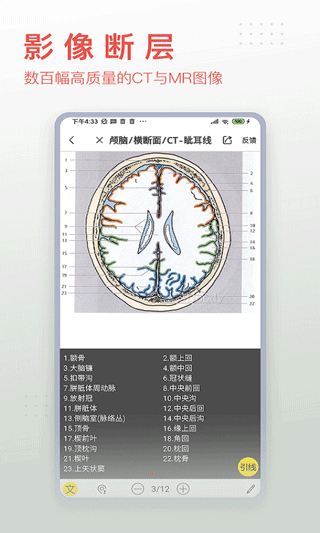 3dbody人体解剖学
