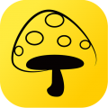 蘑菇丁