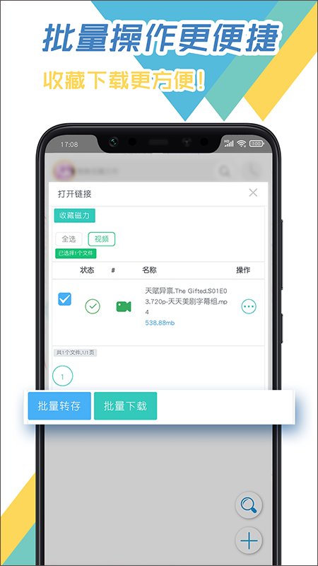 飞鸟下载器app安卓版