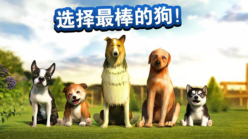 狗狗模拟器
