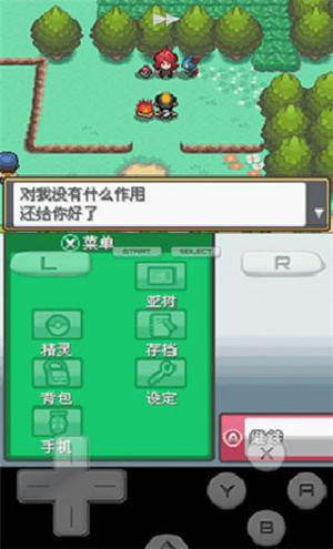 口袋妖怪银魂