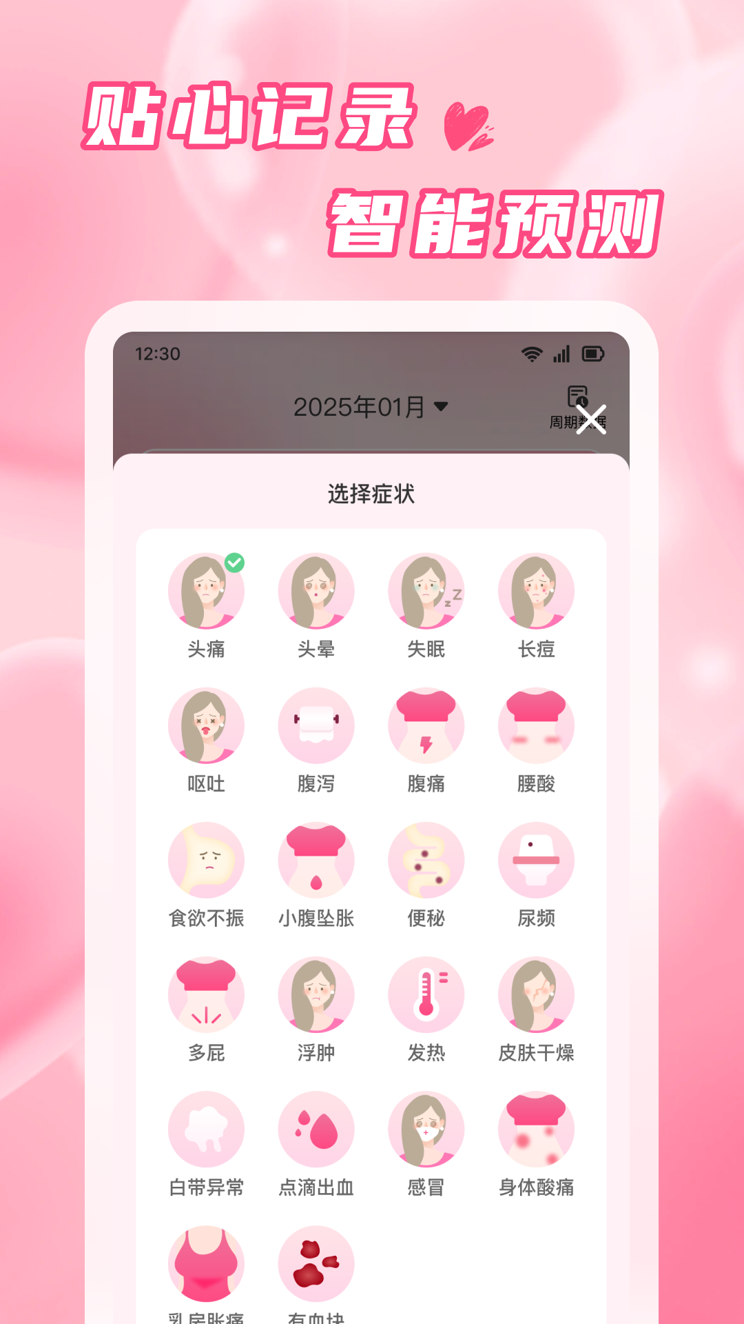 粉柚大姨妈