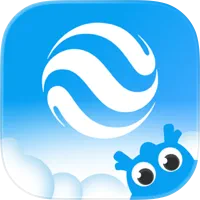 中国大地保险