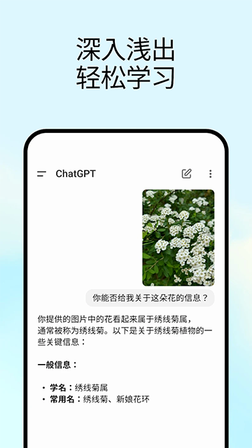 ChatGPT