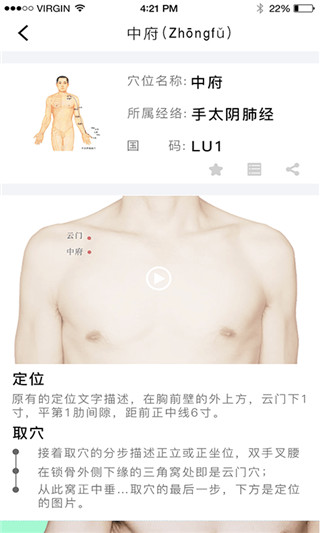 灸大夫