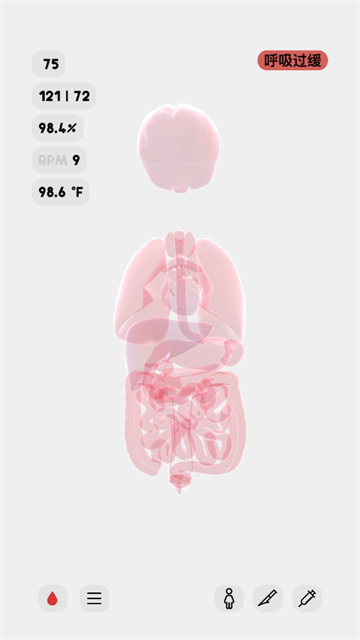 life生命模拟器