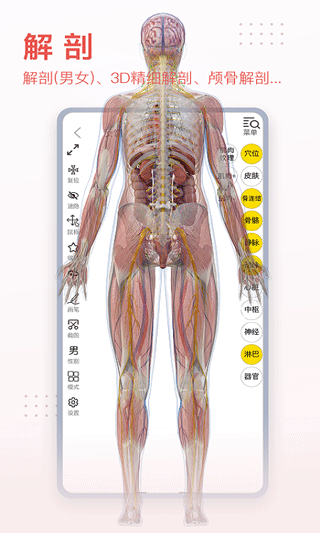 3dbody人体解剖学