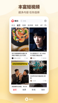 爱奇艺随刻版