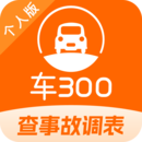 车300二手车app官方最新版