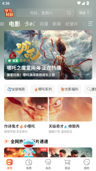 芒果tv会员电视端