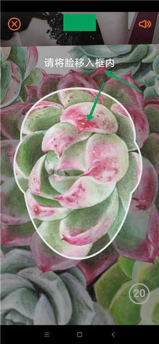 老来健康app下载安装最新版本 老来健康app下载安装最新版本