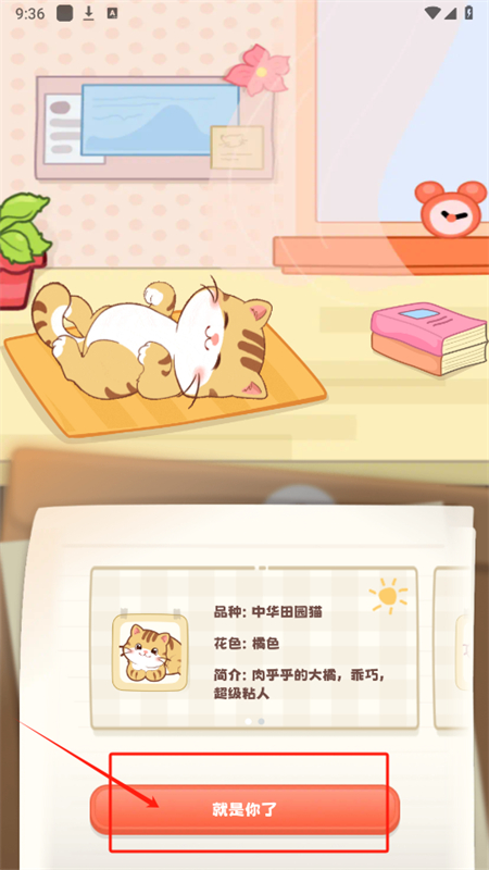 桌面喵互动桌面宠物app手机版