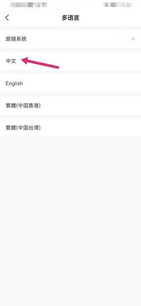 语言切换教程配图4