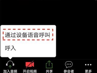 zoom视频会议