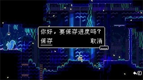 动物井