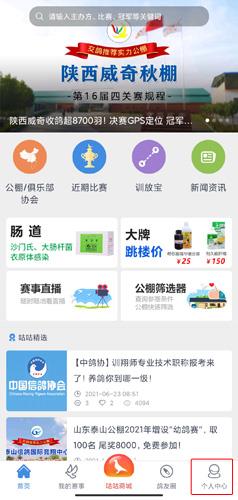 咕咕信鸽图片5