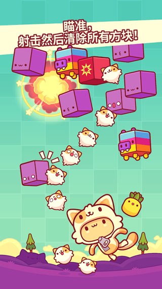 皮皮猫3.jpg