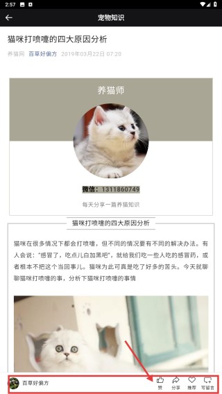 /ueditor/image/20260920/1789892537816223/1dd6e6ad836c81e9ed45d08f5776bf4f.png peppycat猫语翻译器6.png