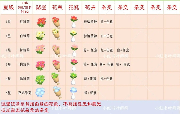 心动小镇手游2024最新版