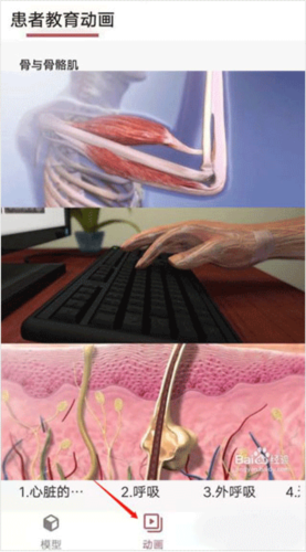 3dbody解剖免费版7