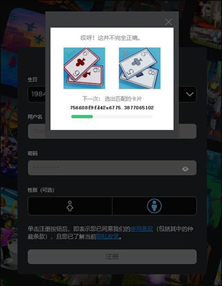 罗布乐思注册教程5