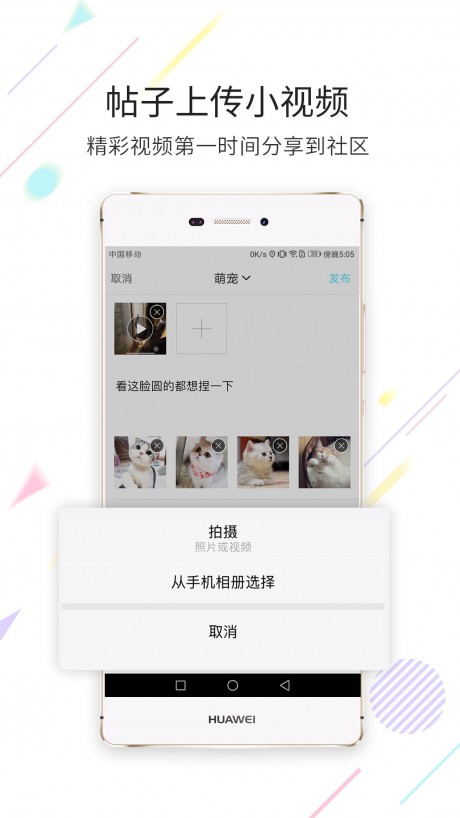 相关图片