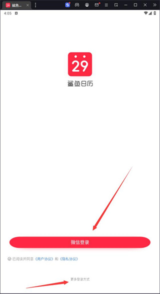 鲨鱼日历