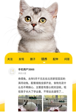 有只宠物软件宣传图2