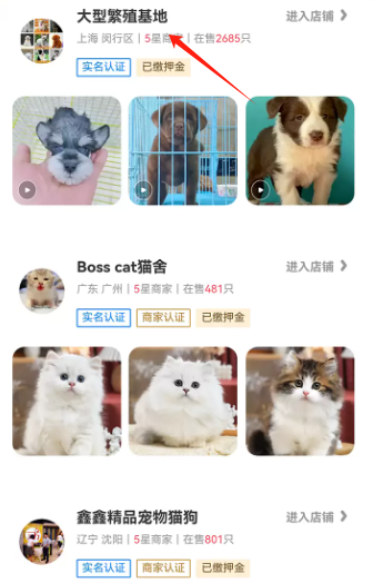 宠物宝app官方版 宠物宝app官方版