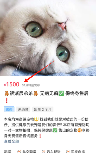 宠物宝app官方版 宠物宝app官方版