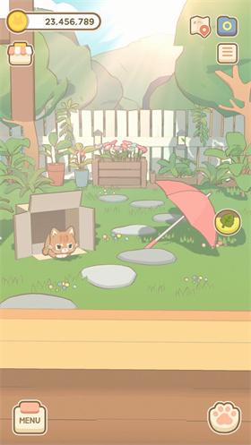 窗外的猫